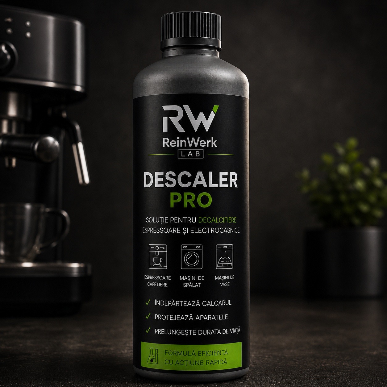 ReinWerk Lab Soluție de detartrare PRO 500ml