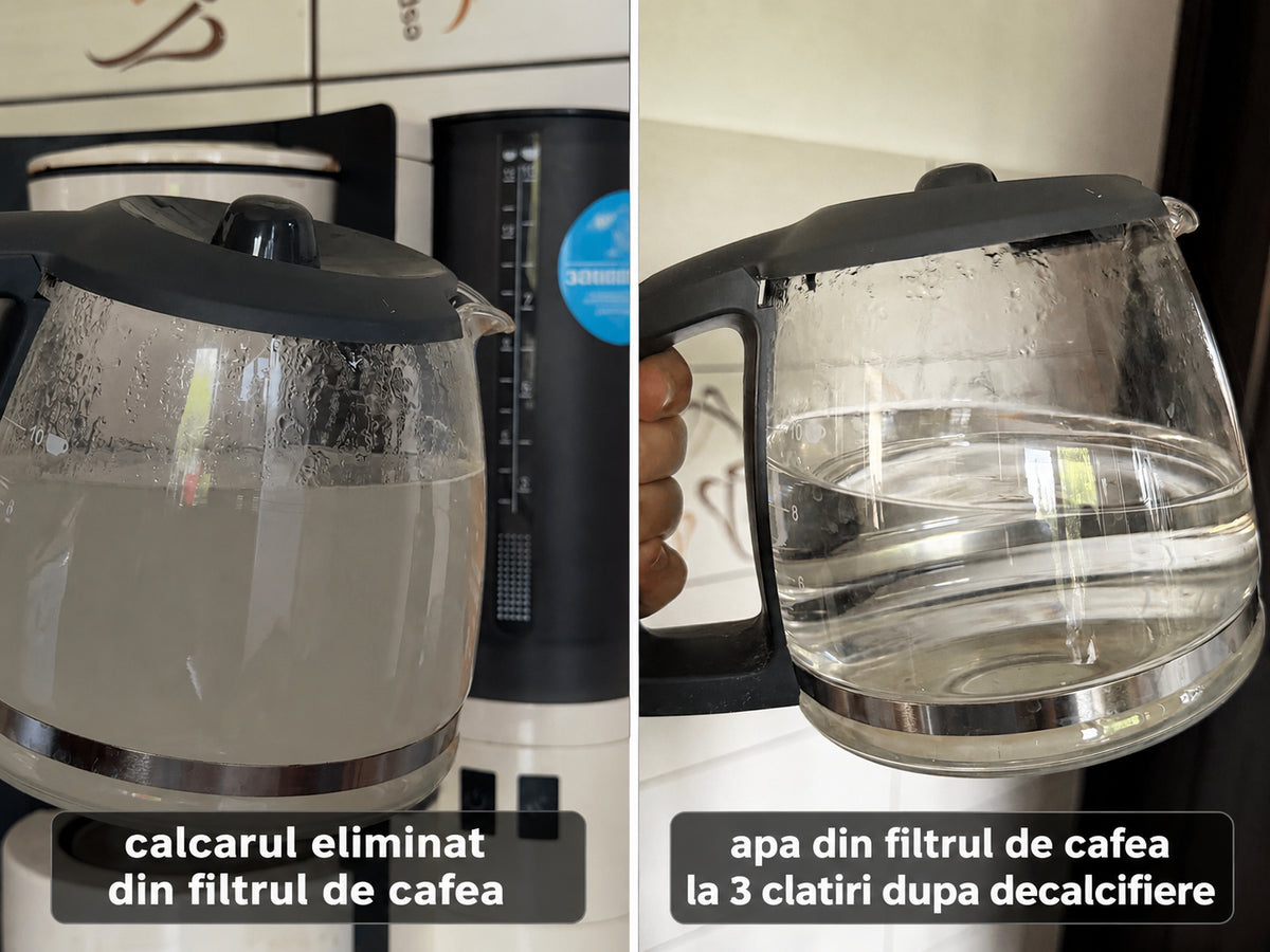 ReinWerk Lab Soluție de detartrare PRO 500ml