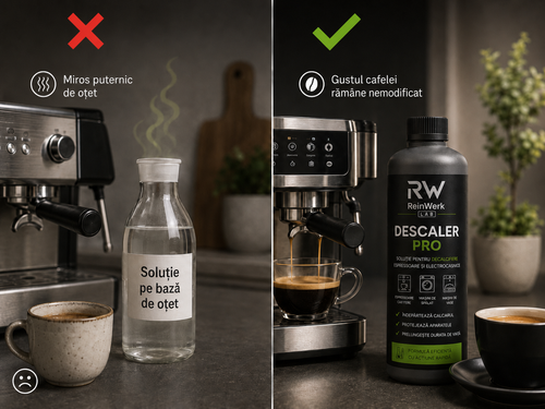 ReinWerk Lab Soluție de detartrare PRO 500ml